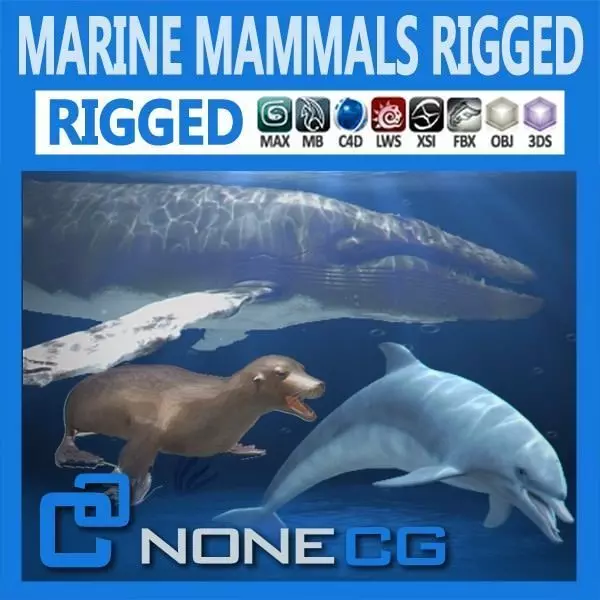 Pack - Marine Mammals 3D model