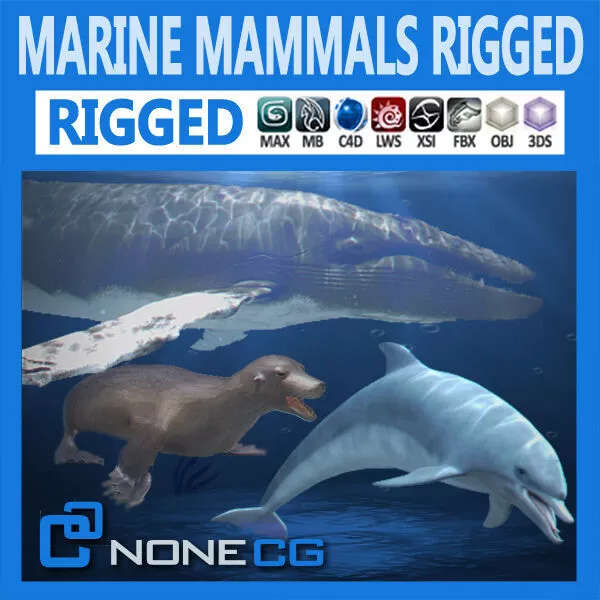 Pack - Marine Mammals 3D model