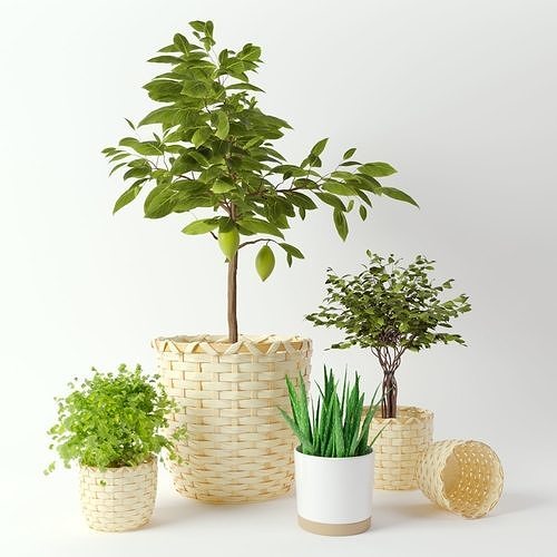 KAFFEBONA Plant Pot by IKEA 3D model