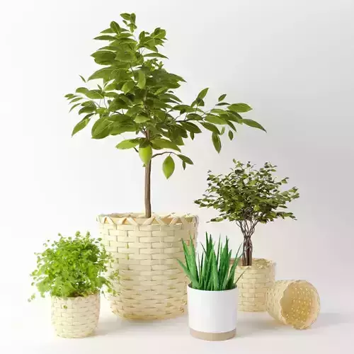 KAFFEBONA Plant Pot by IKEA 3D model