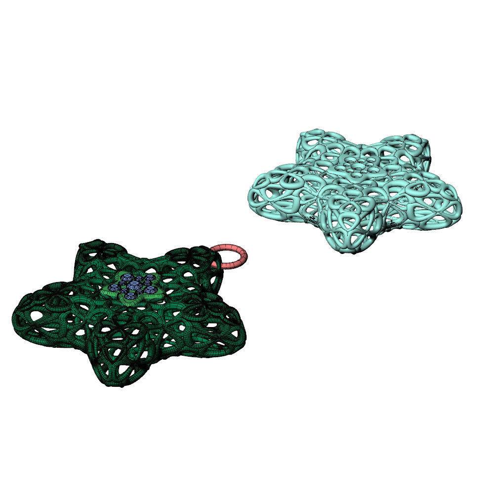 Wireframe Flowers Star Charms Pendant 3D print model_8