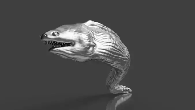Silver Moray Eel Toy 3D print model