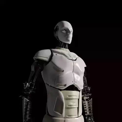 Futuristic Cyborg  3D model