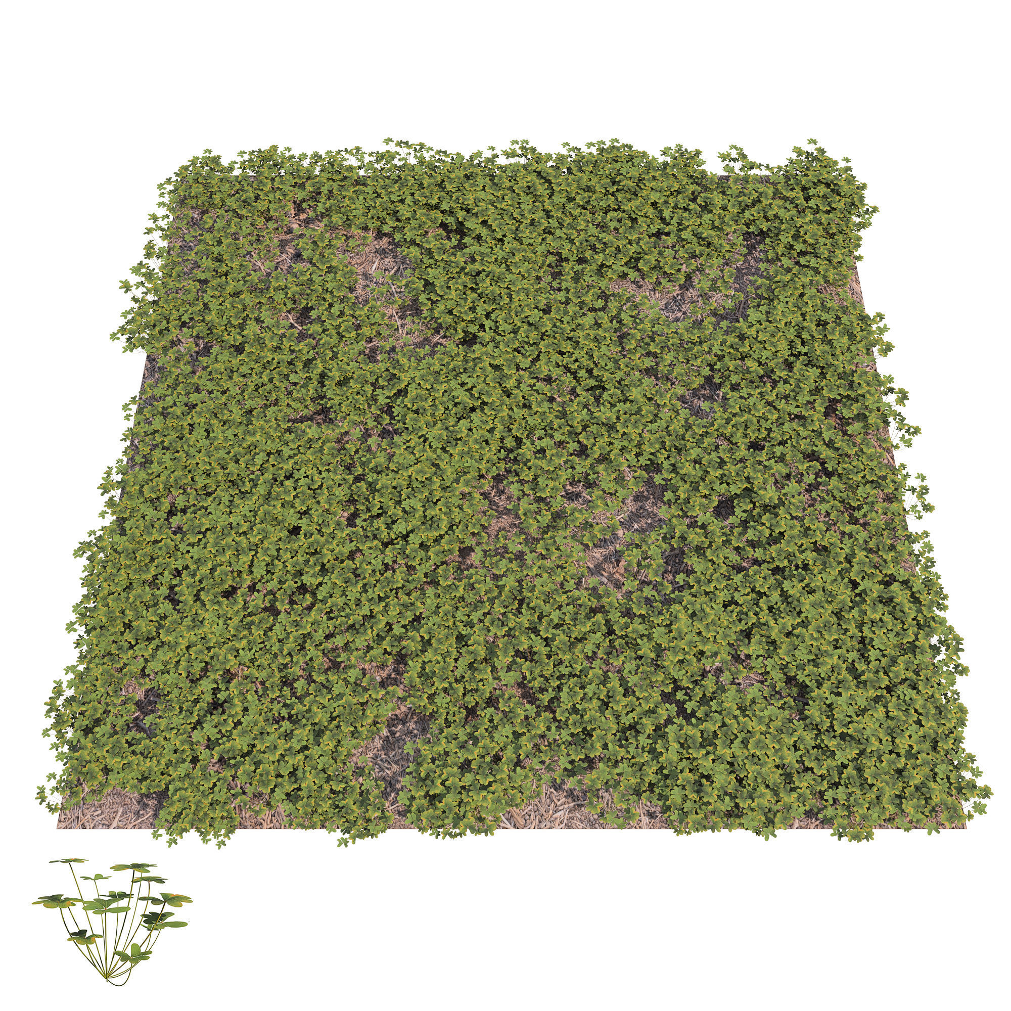 cloverfield grassy area Low-poly 3D model_1