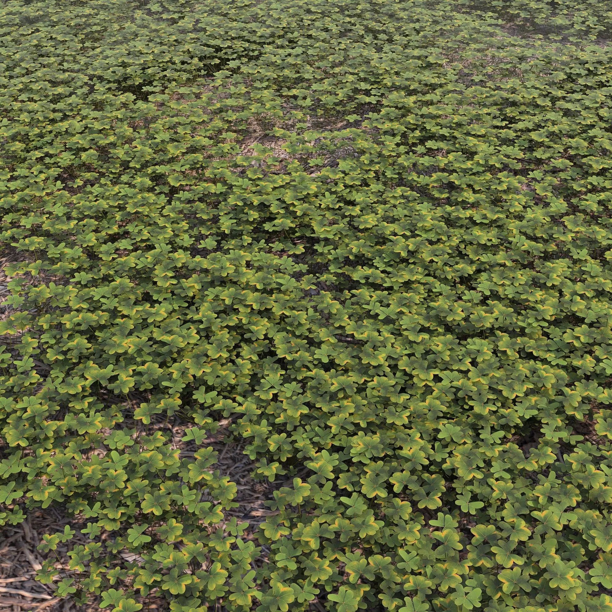 cloverfield grassy area Low-poly 3D model_0