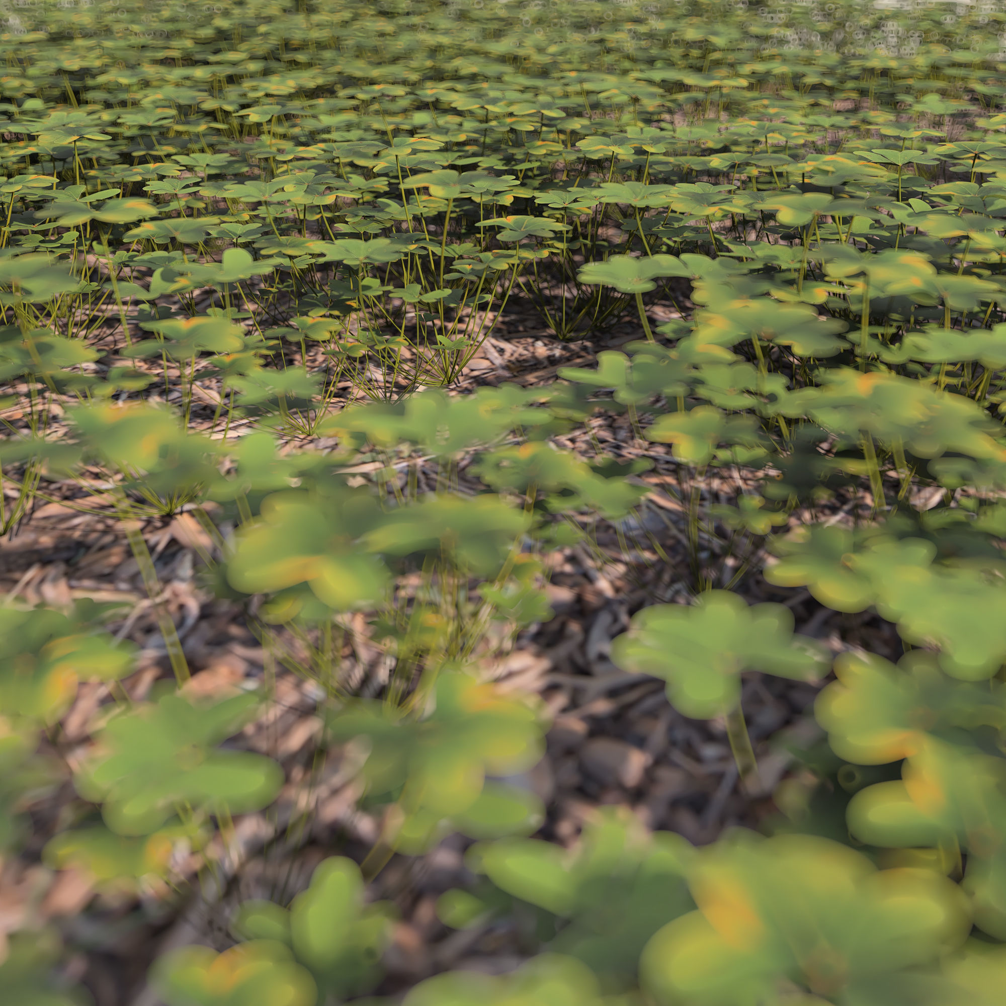 cloverfield grassy area Low-poly 3D model_2