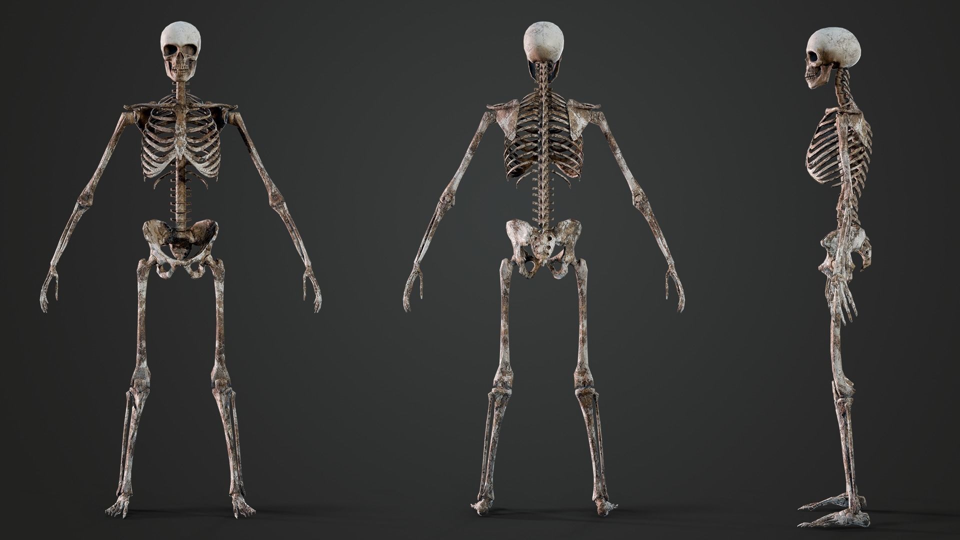 Skeleton Warlord - Game Ready Low-poly 3D model_12
