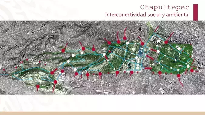 MERCADO chapultepee interconnected social and environmental n... Free 3D model