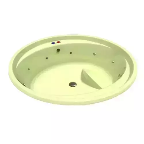 Bath Tub With Jets