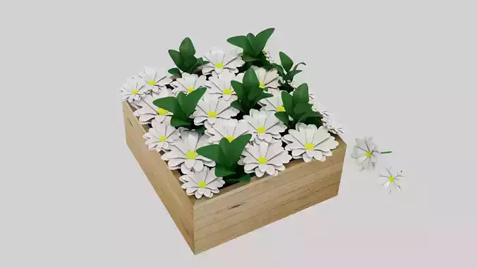Daisy Flowers for Gift 3D model