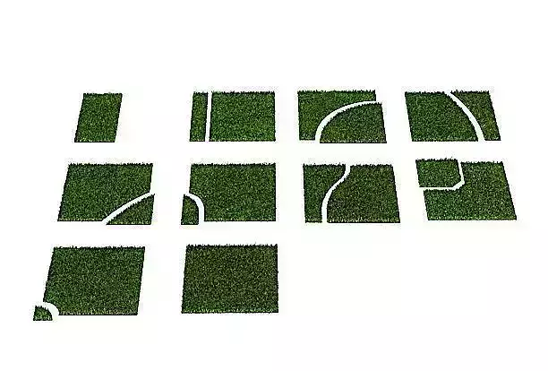 Royal Grass Puzzle