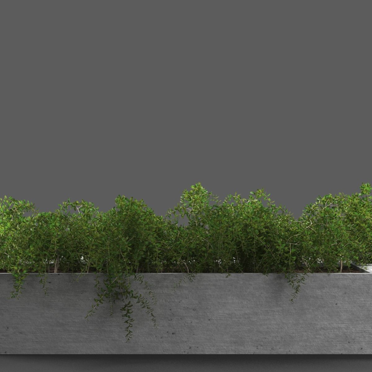 bench349 concrete bench with plants in it 3D model_4