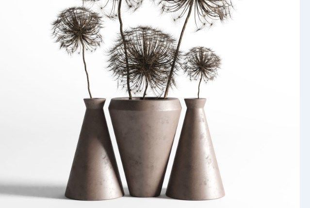 Dry berenklauw Low-poly 3D model_2