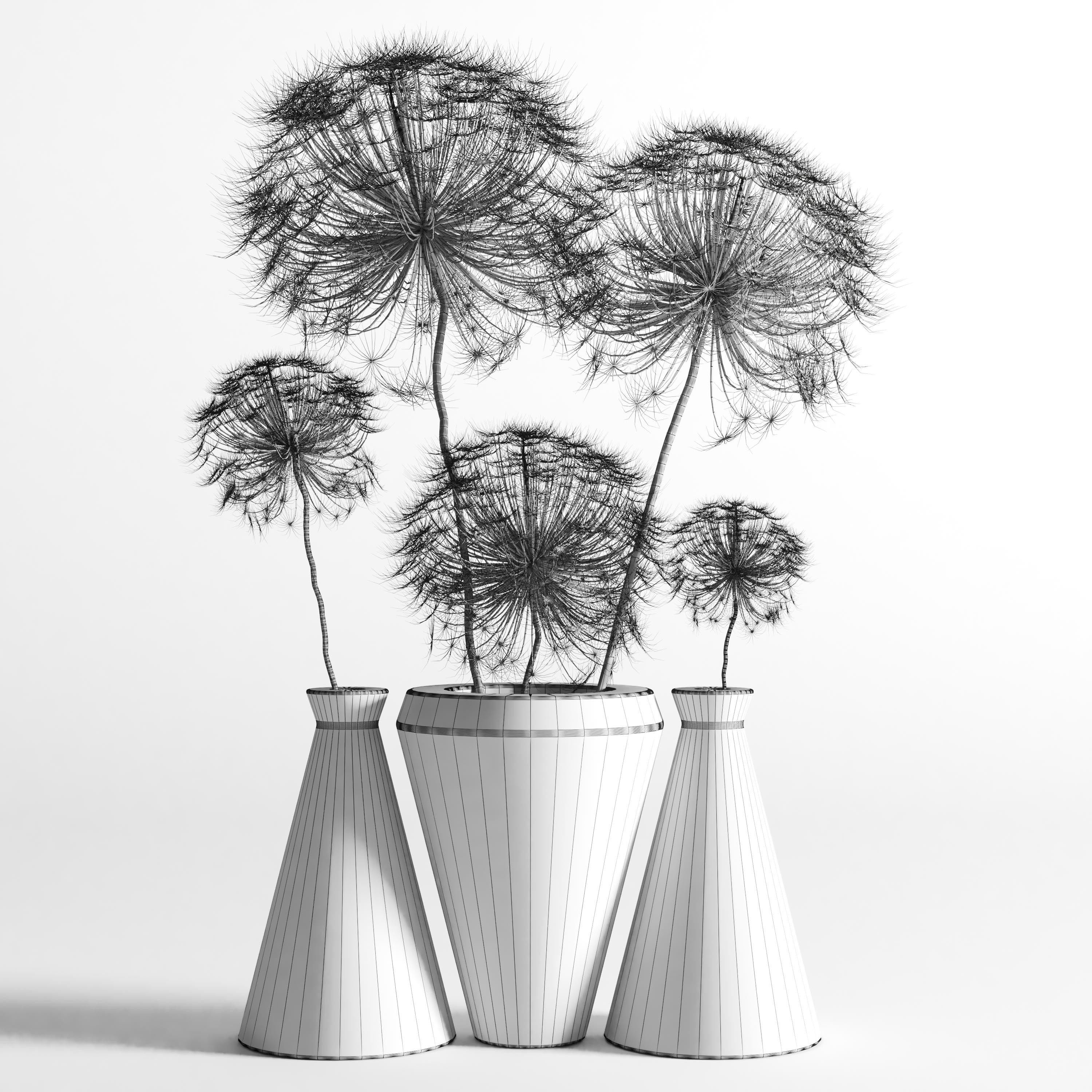 Dry berenklauw Low-poly 3D model_3