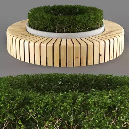 bench807 circular wooden bench with plant in middle