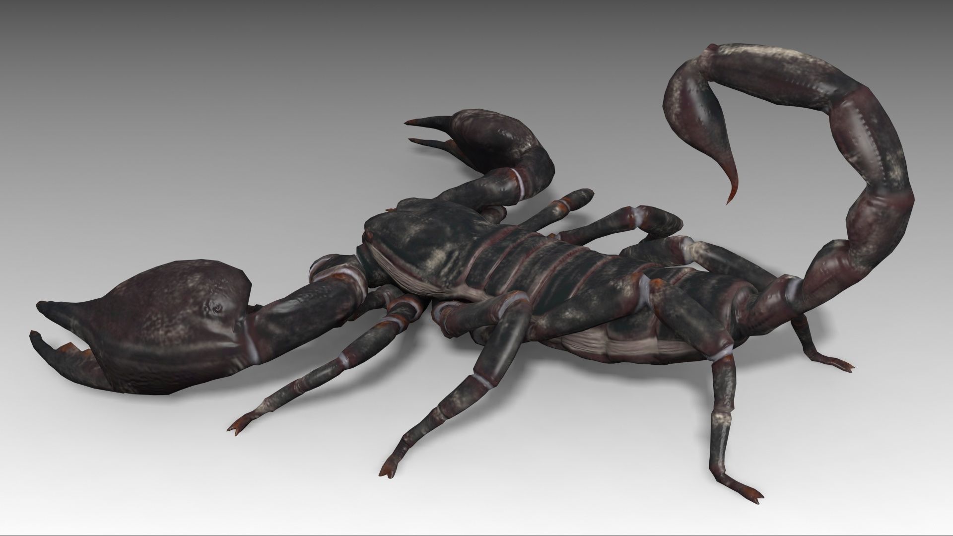 Scorpion Low-poly 3D model_5