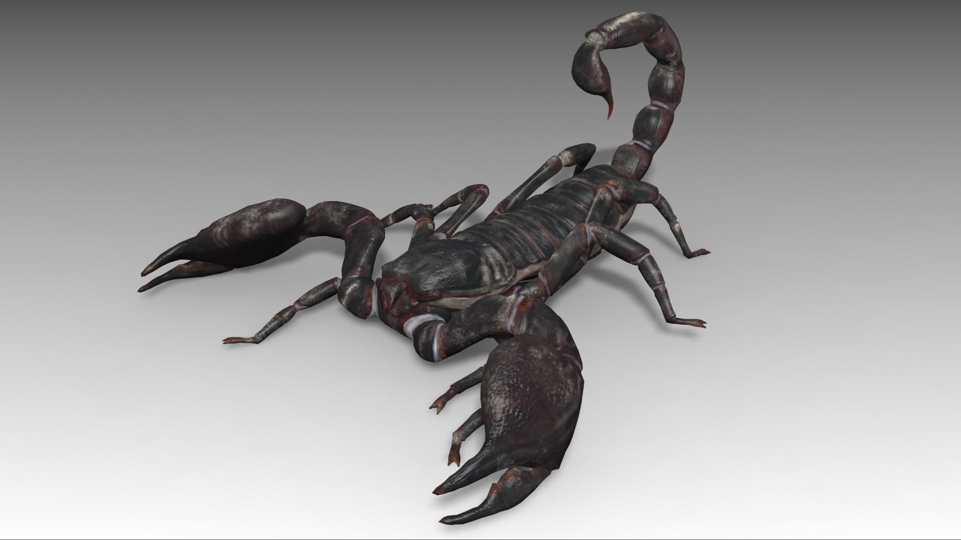Scorpion Low-poly 3D model_3