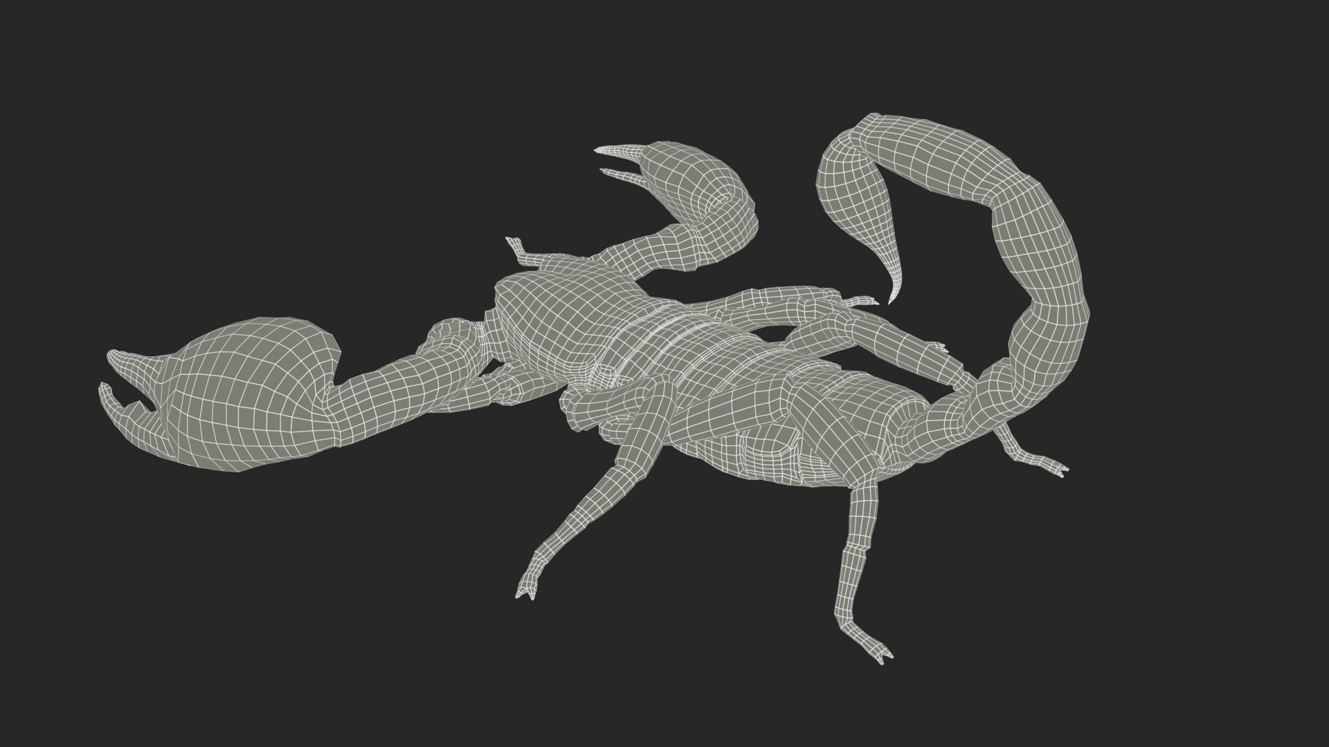 Scorpion Low-poly 3D model_10