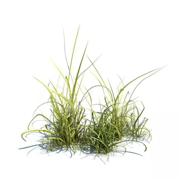 Green Grass Scenery 3D model_0