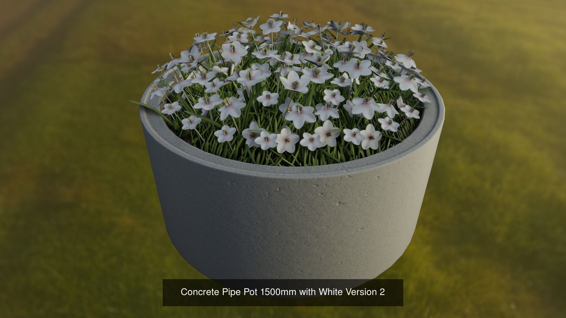 Concrete Pipe Pots With White Flowers 3D Model Collection_9