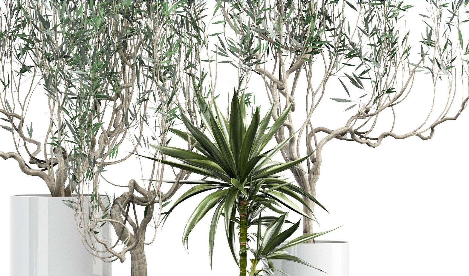 Flower Pack 164 3D model_3