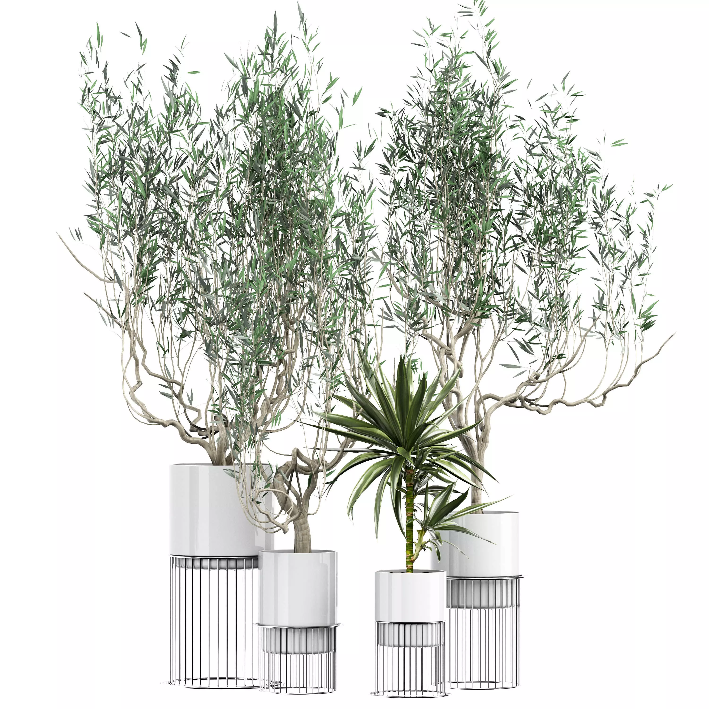 Flower Pack 164 3D model_0