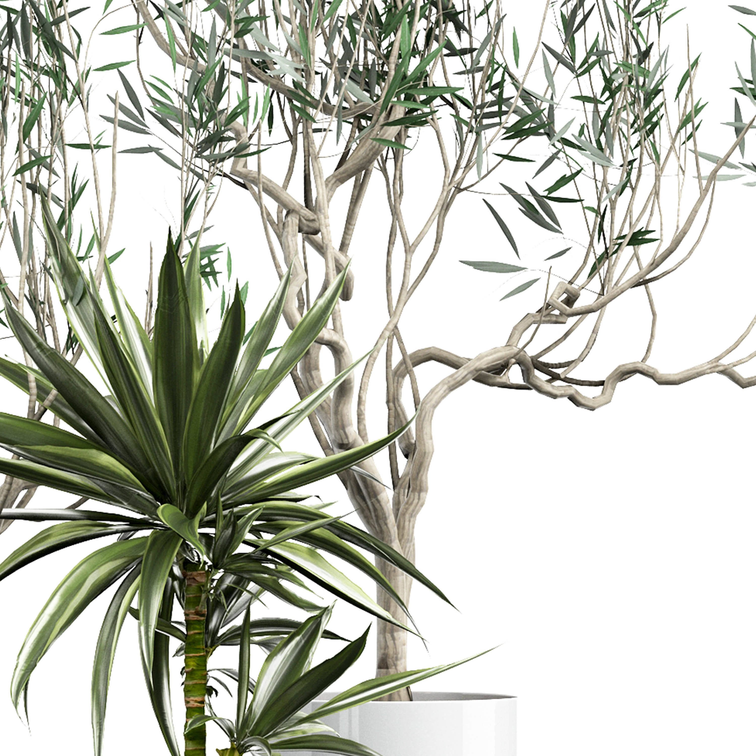 Flower Pack 164 3D model_2