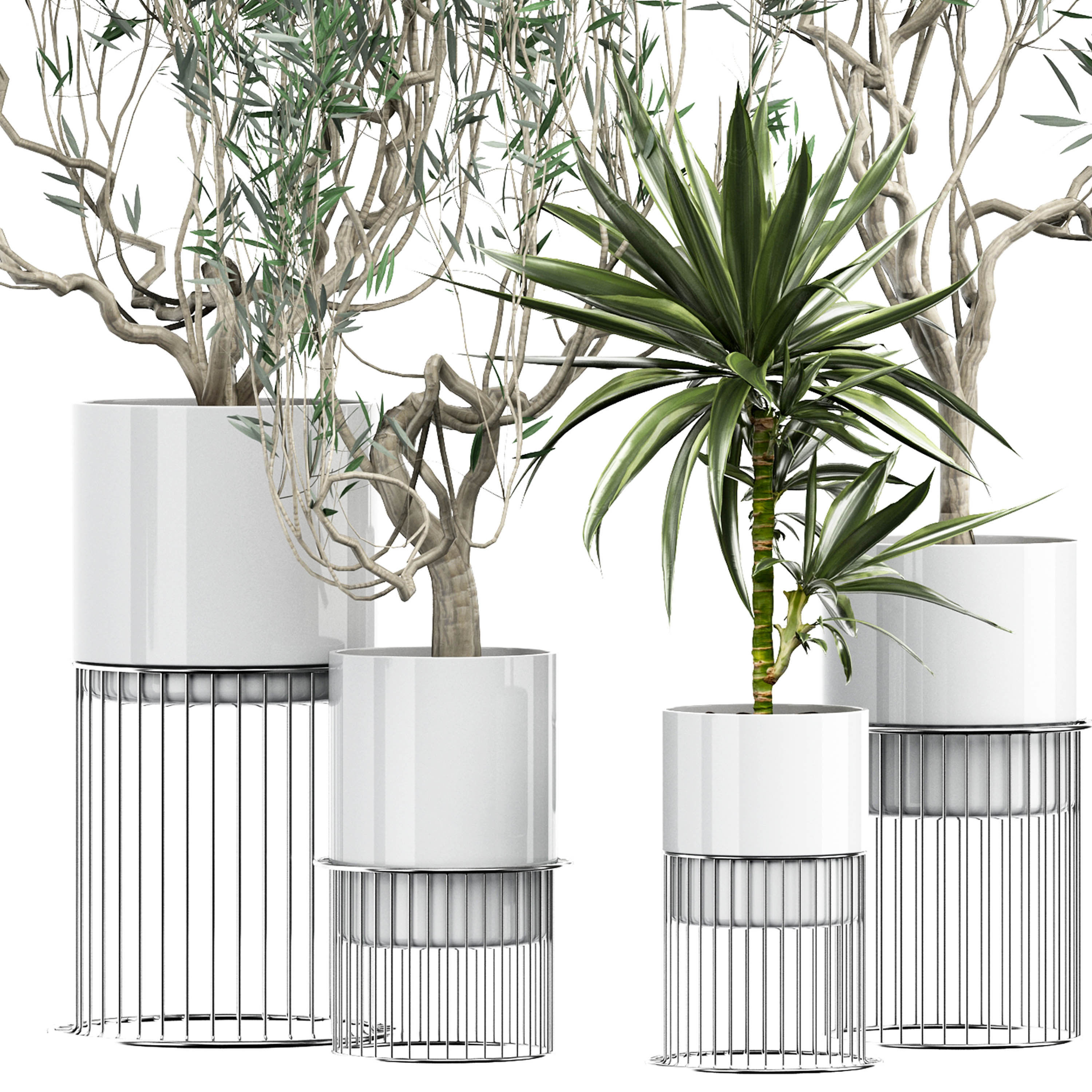 Flower Pack 164 3D model_1