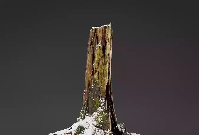 Snow covered tall Tree Stump 3D model