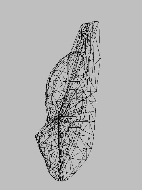 Cat Model mask with ornate design 3D model_3