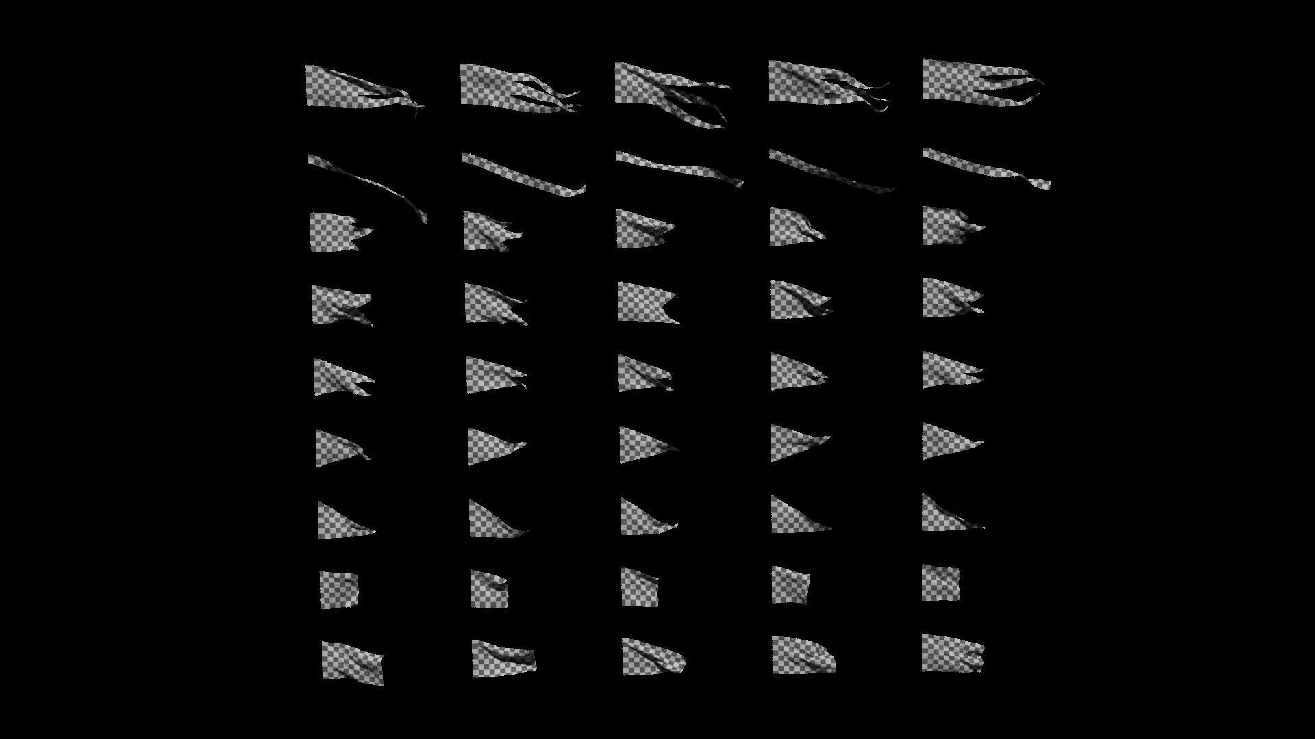 45 Animated Flag Asset Pack 3D model_3