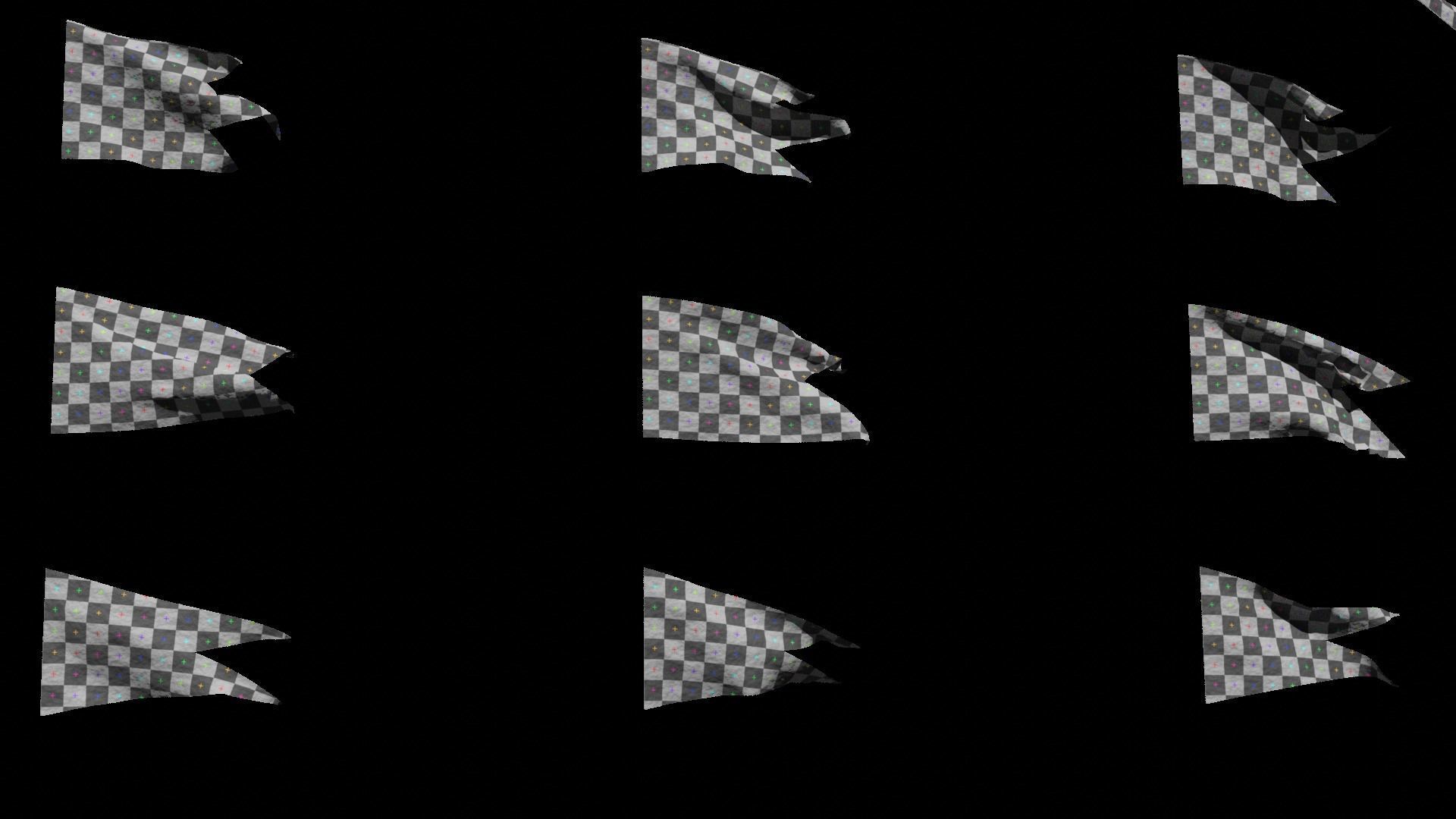 45 Animated Flag Asset Pack 3D model_20