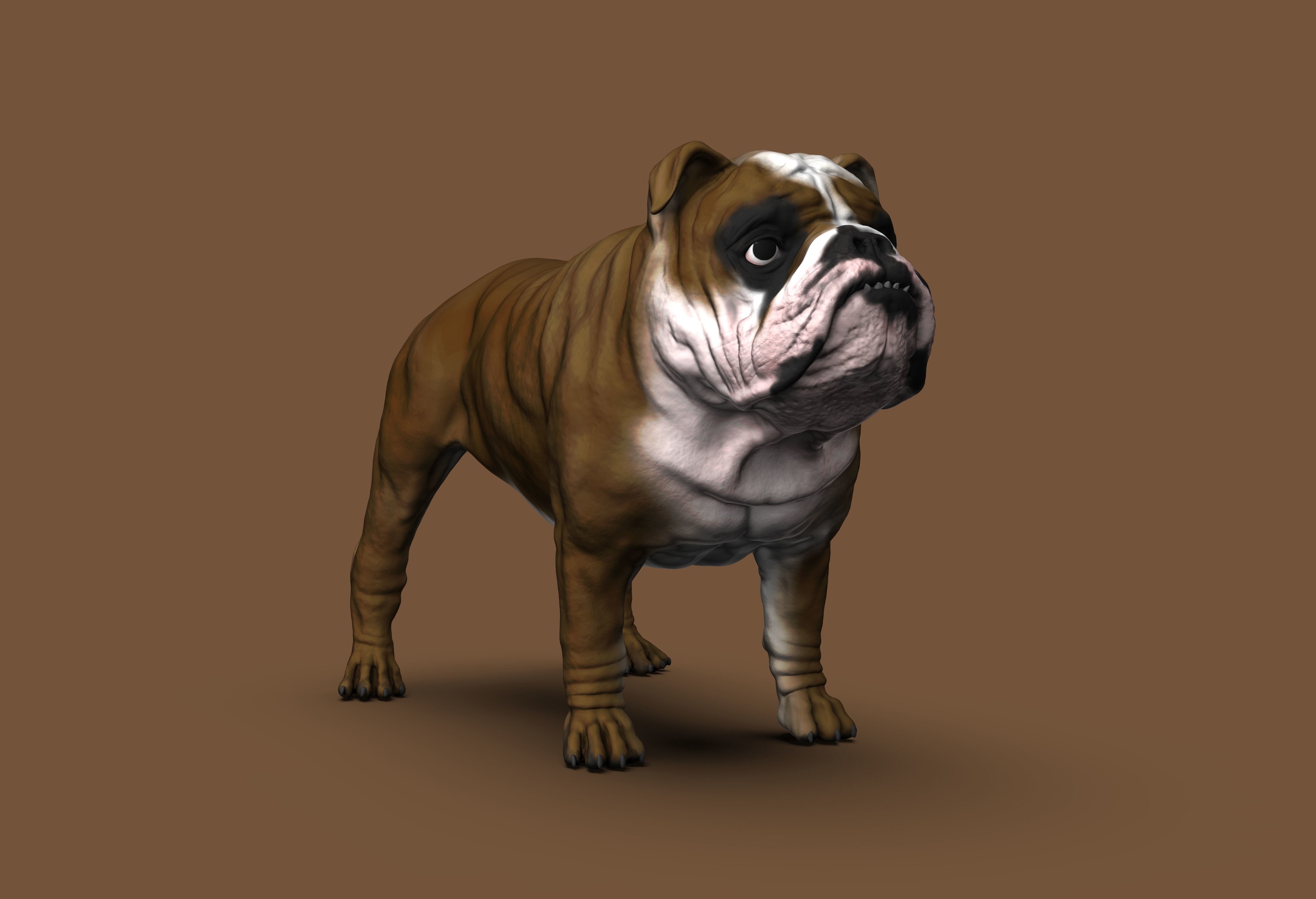 English Bulldog High-Poly 3D print model 3D print model_1