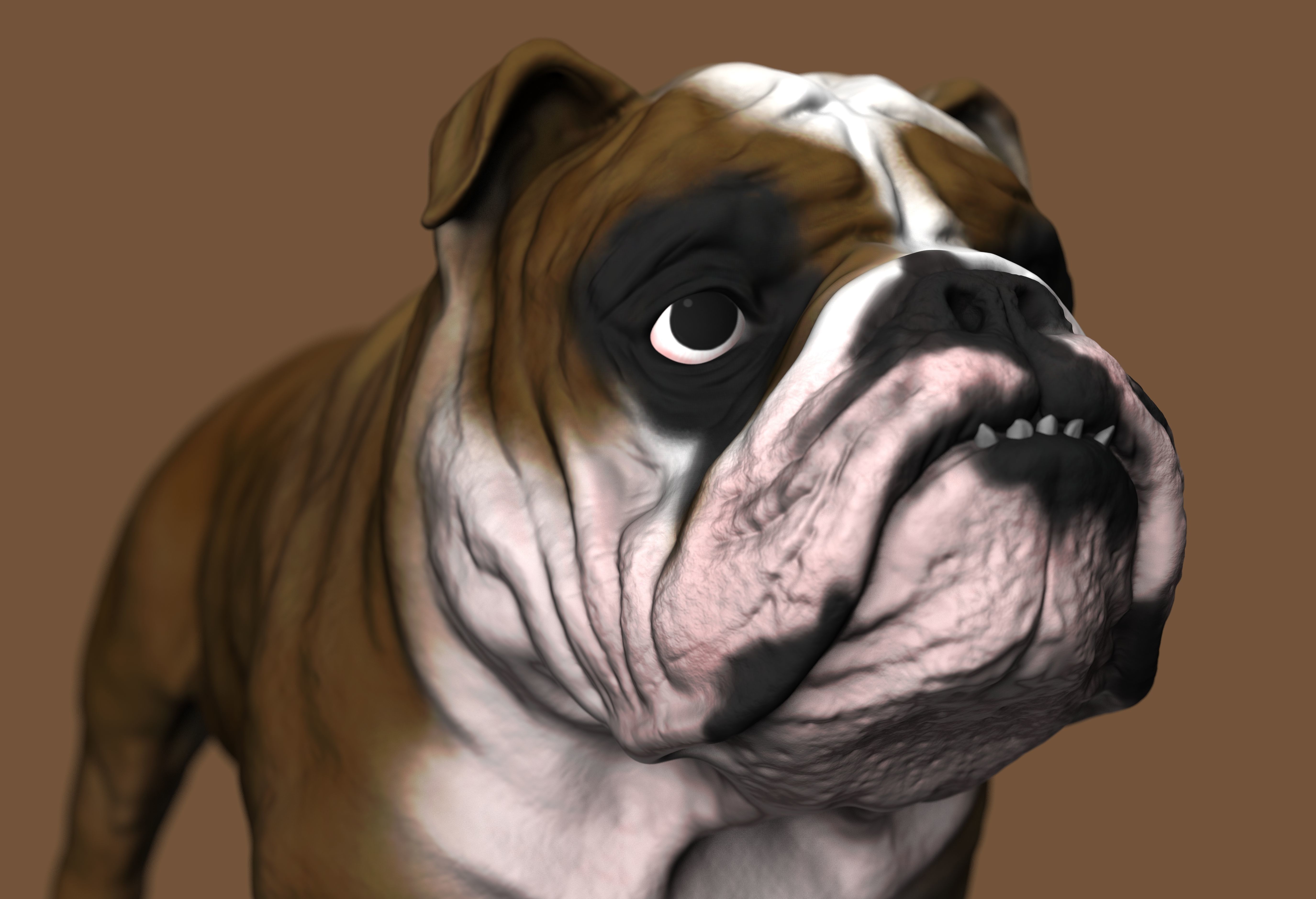 English Bulldog High-Poly 3D print model 3D print model_3