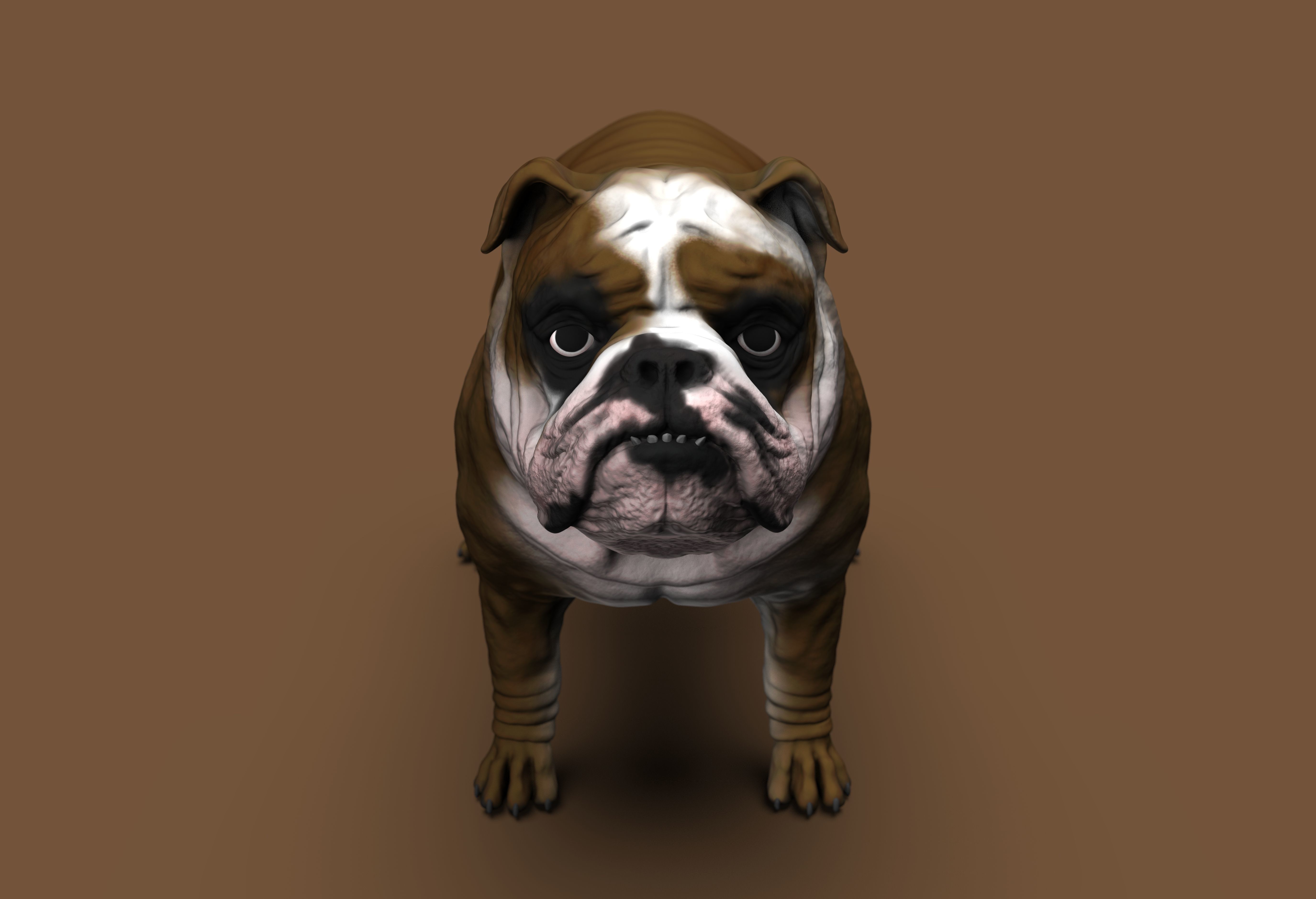 English Bulldog High-Poly 3D print model 3D print model_4