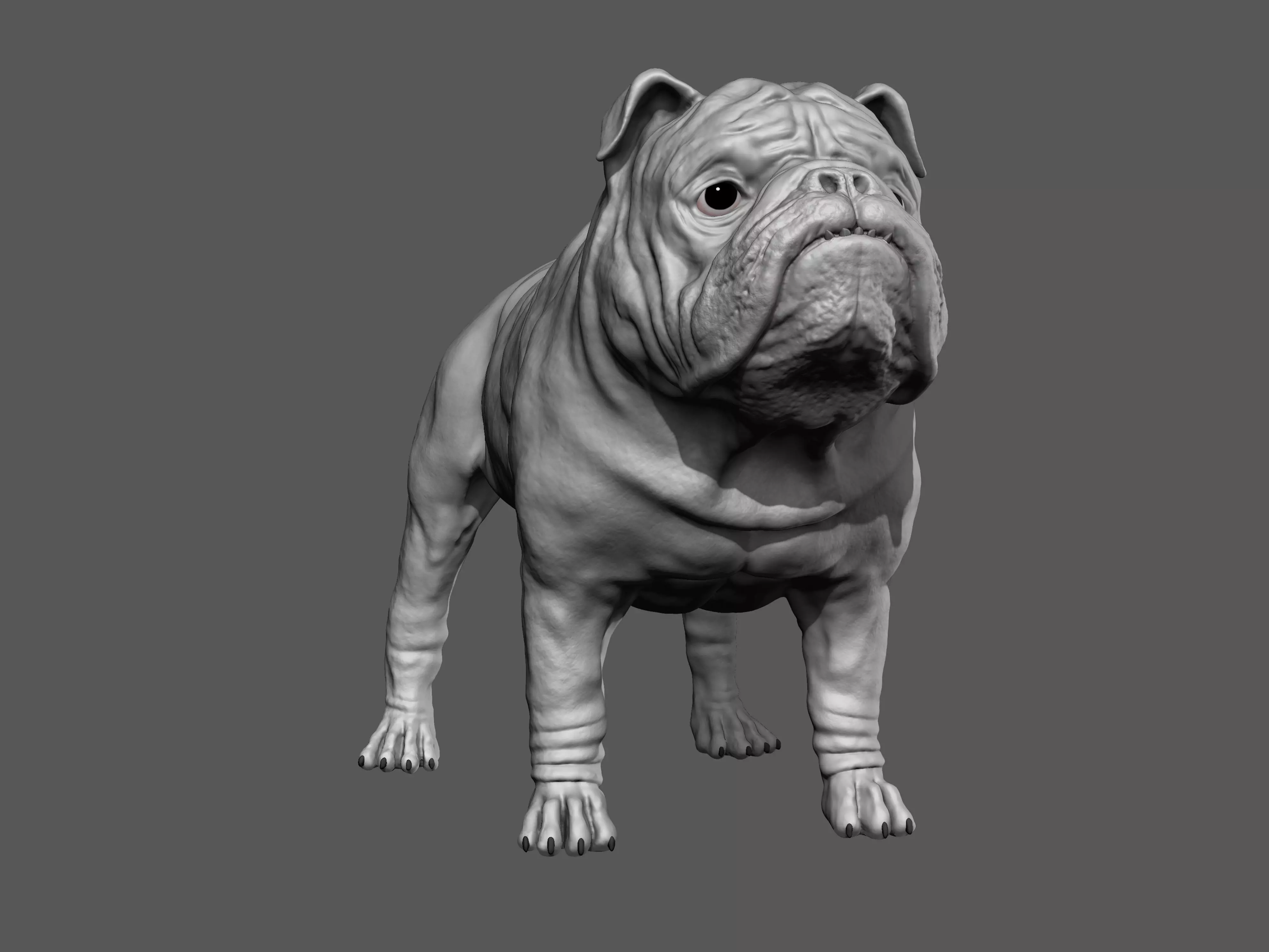 English Bulldog High-Poly 3D print model 3D print model_0
