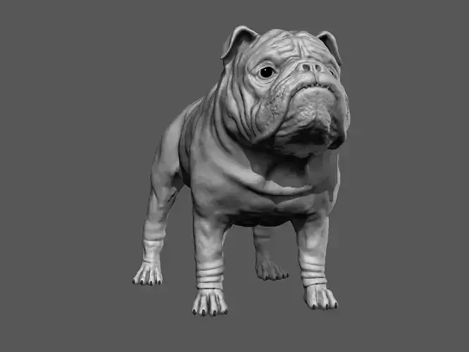 English Bulldog High-Poly 3D print model 3D print model