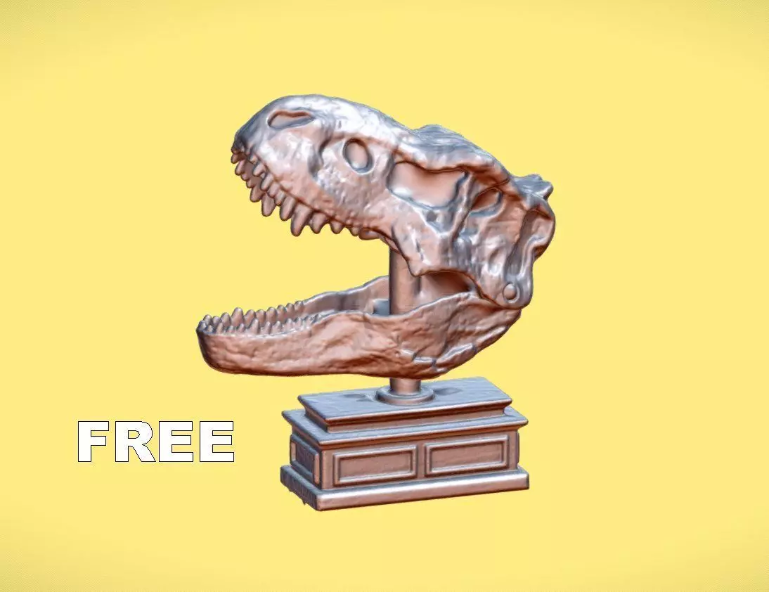 T-REX SKULL TOY - 3D SCAN Free 3D model