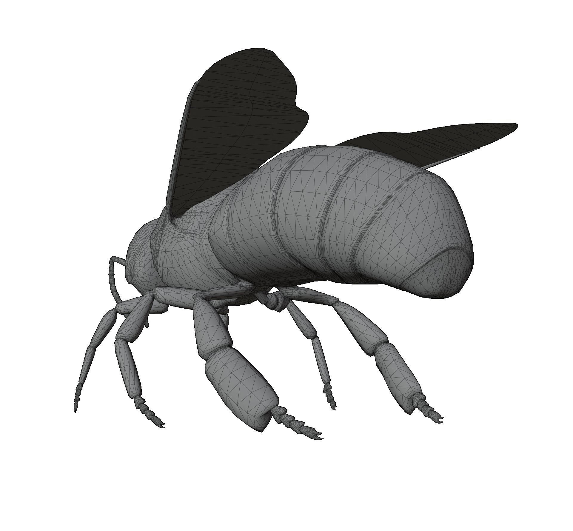 Animated bee Low-poly 3D model_3