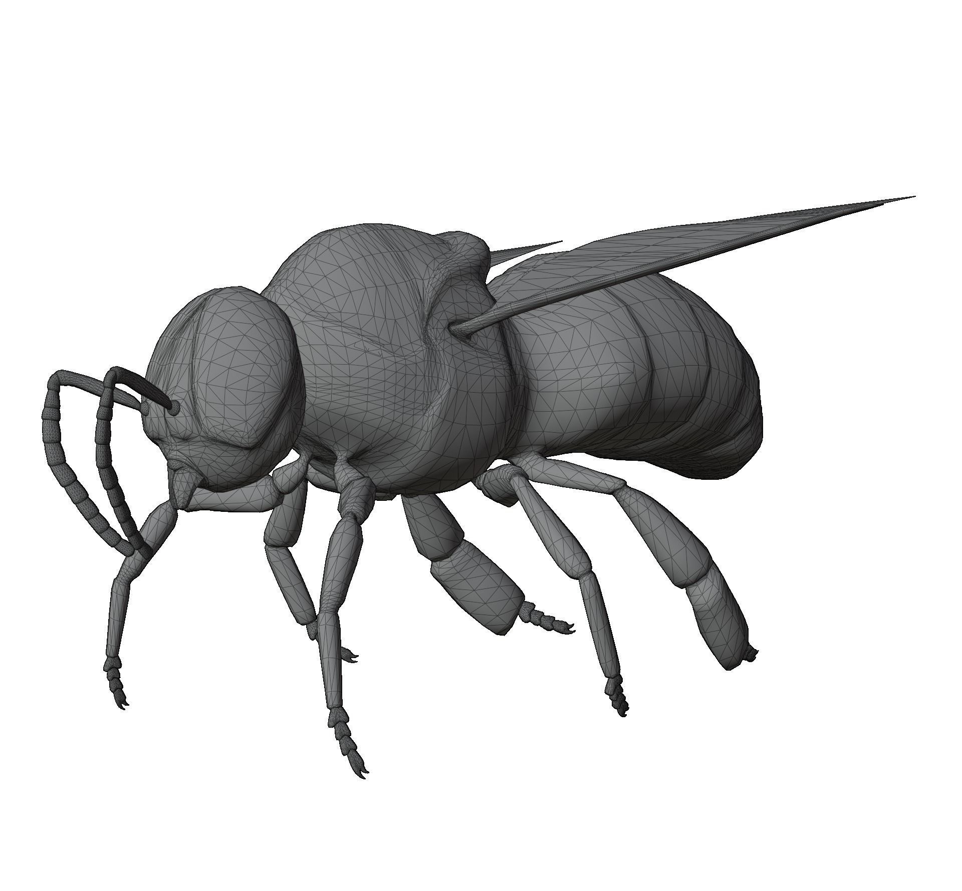 Animated bee Low-poly 3D model_4