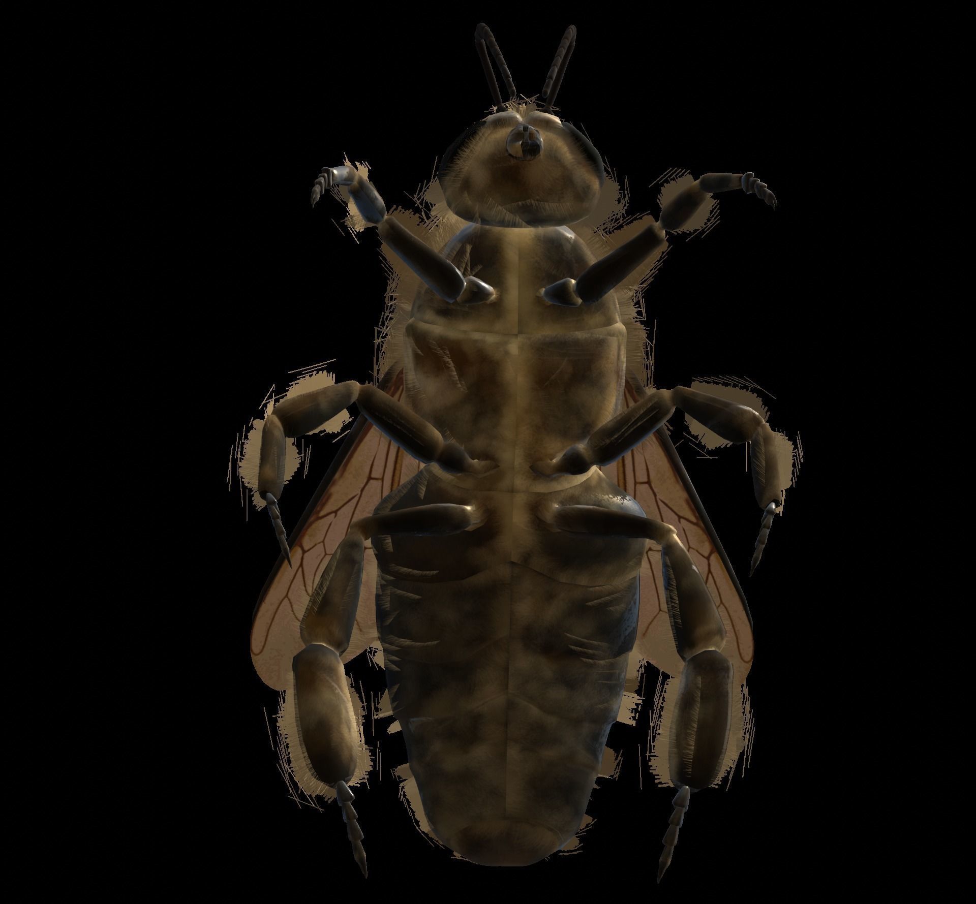 Animated bee Low-poly 3D model_13