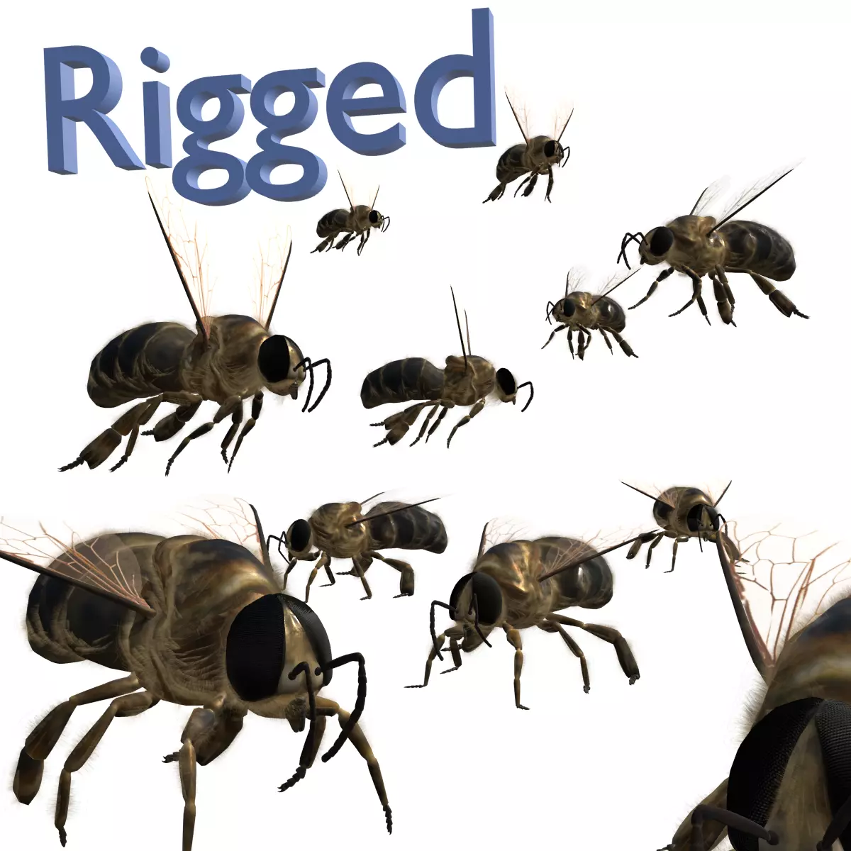 Animated bee Low-poly 3D model_0