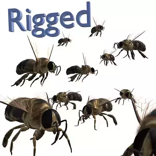Animated bee Low-poly 3D model