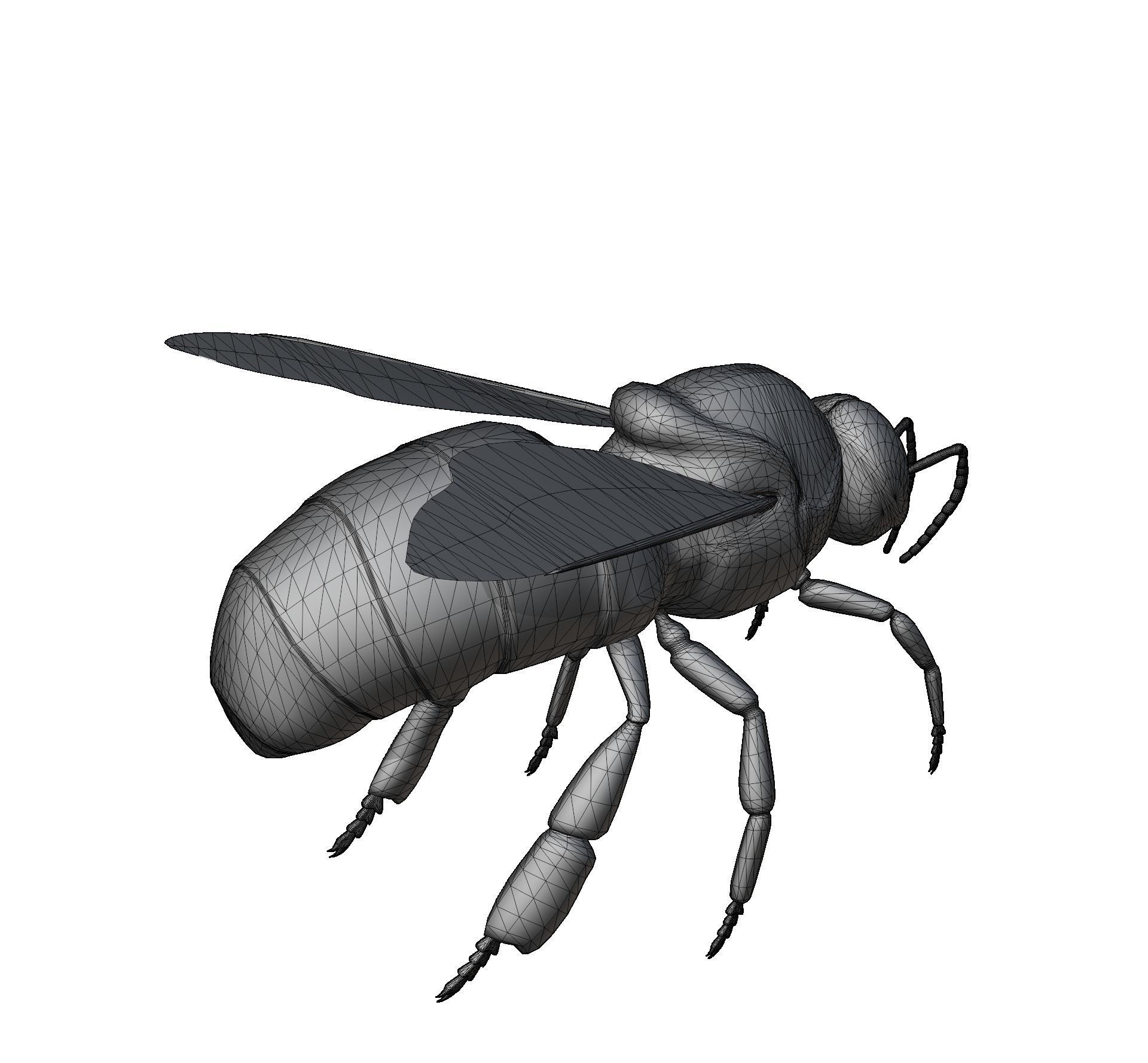 Animated bee Low-poly 3D model_1
