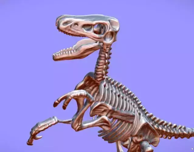 Raptor Skeleton Souvenier TOY - 3D SCAN 3D print model