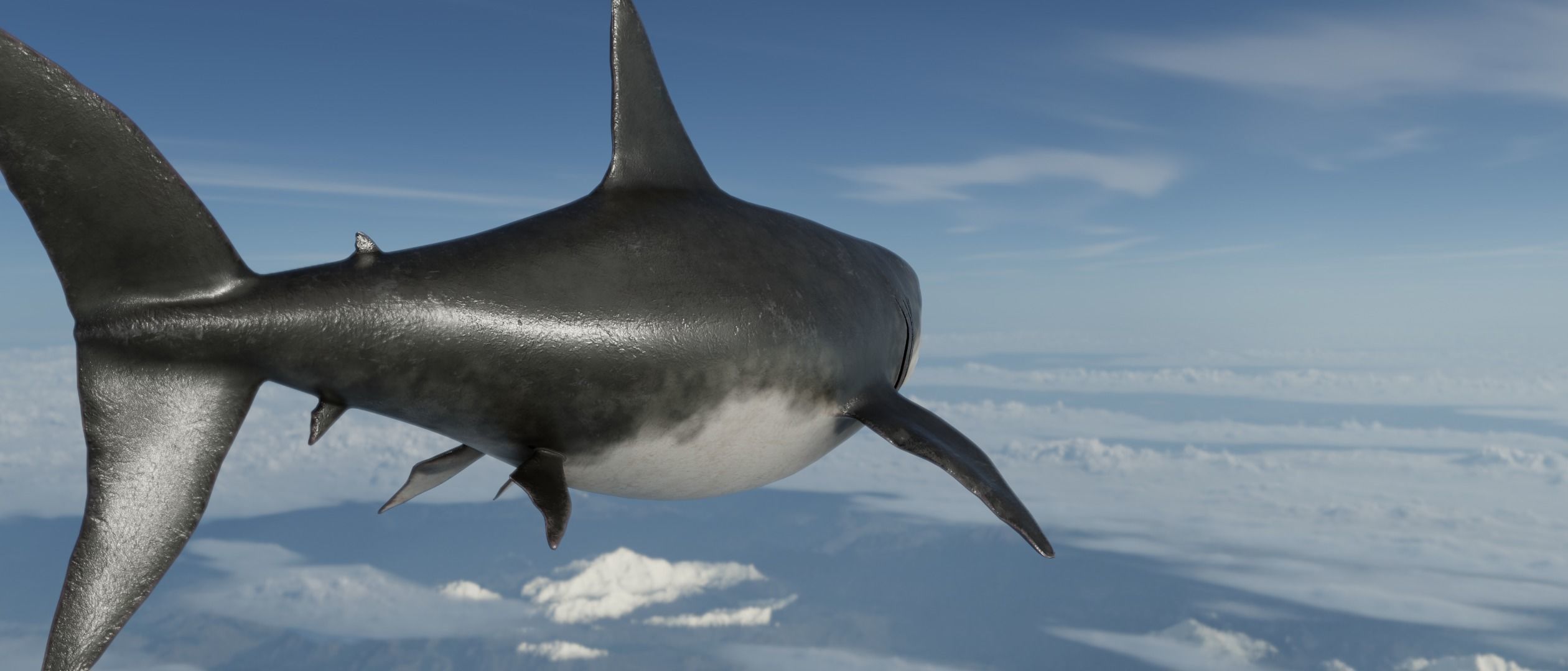 Megalodon Shark  Low-poly 3D model_6