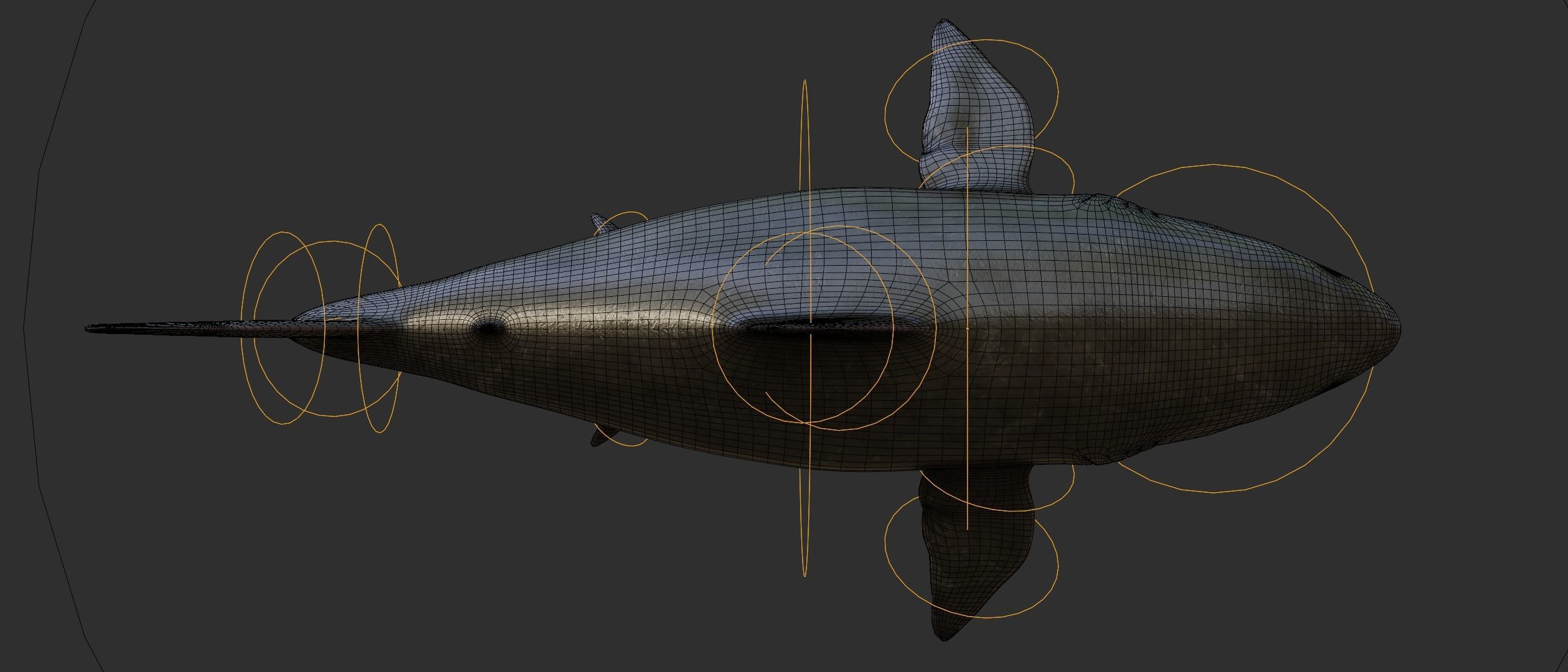 Megalodon Shark  Low-poly 3D model_11