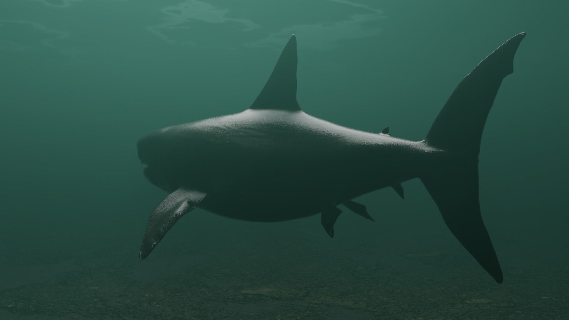 Megalodon Shark  Low-poly 3D model_4