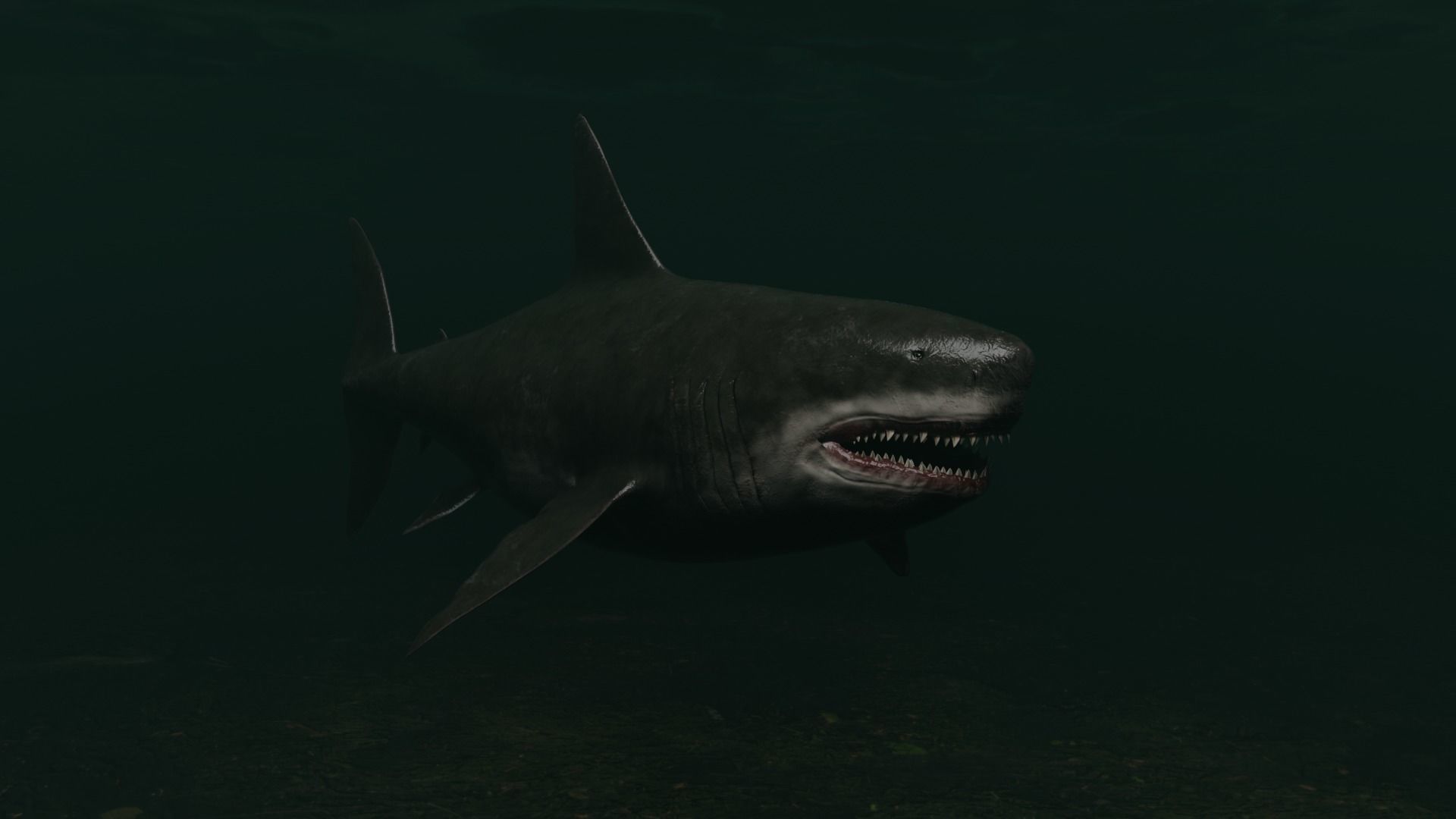 Megalodon Shark  Low-poly 3D model_3