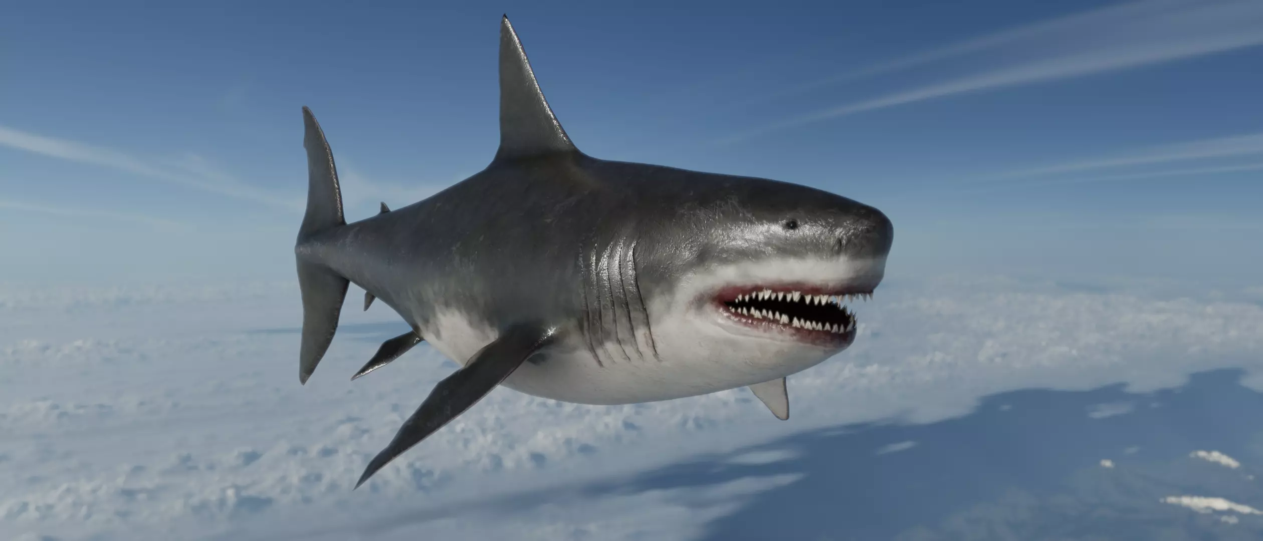 Megalodon Shark  Low-poly 3D model_0
